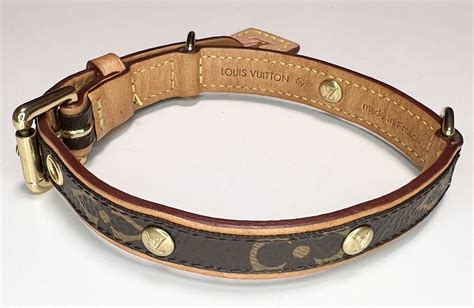 monogram baxter dog collar pm